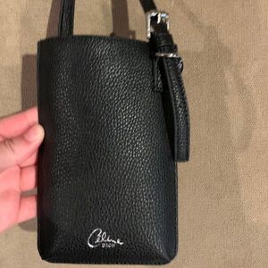 Celine dion purse